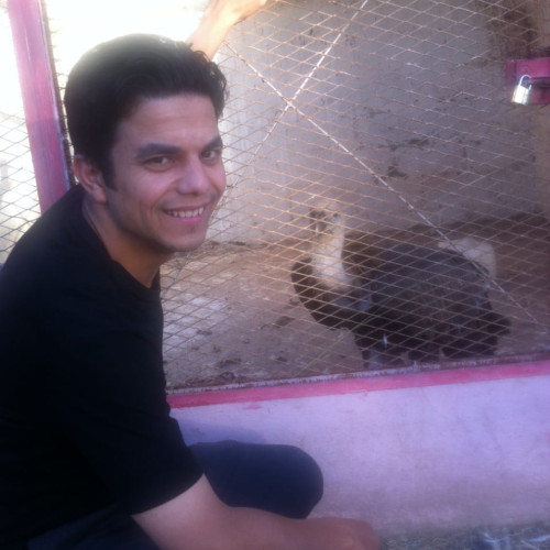 Abdelillah M. profile photo