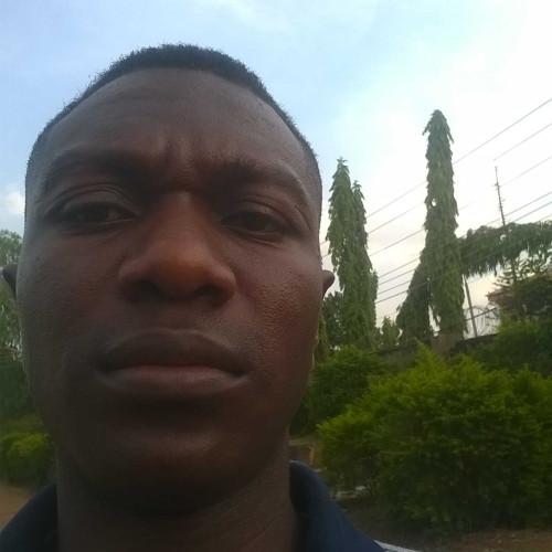 Francis i. profile photo