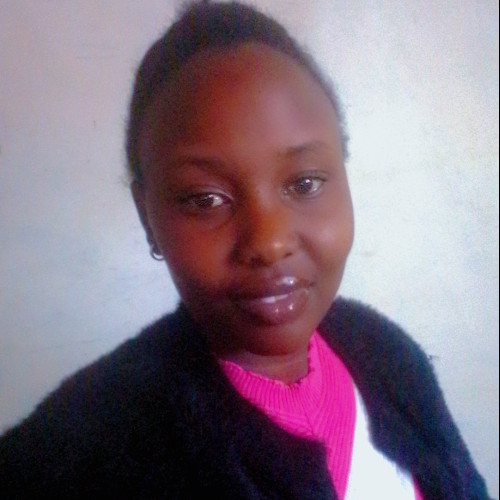 Noel M. profile photo