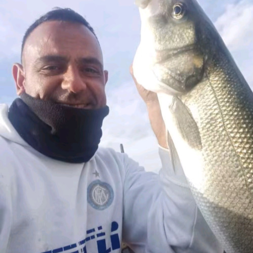 Armando S. profile photo
