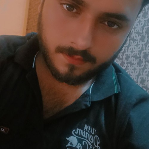 Harshit R.