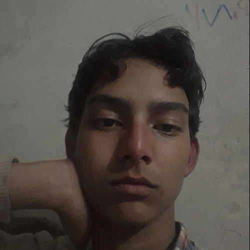 Deepak D. profile photo