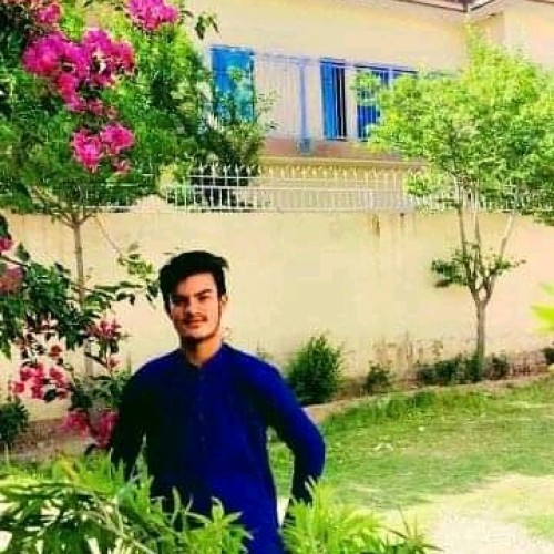 Hamza A.