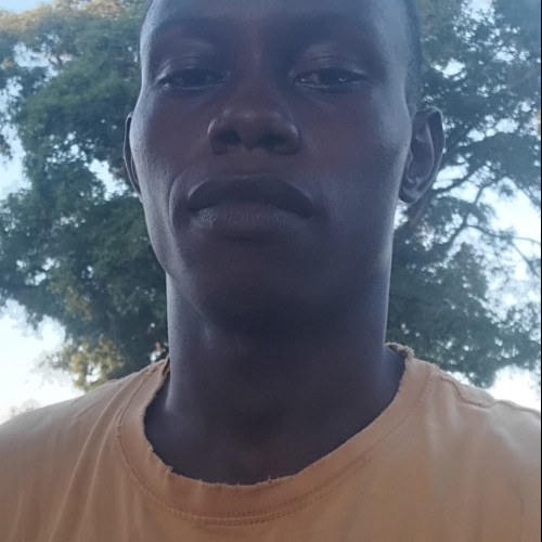 James N. profile photo
