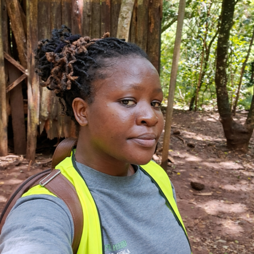Bela T. profile photo