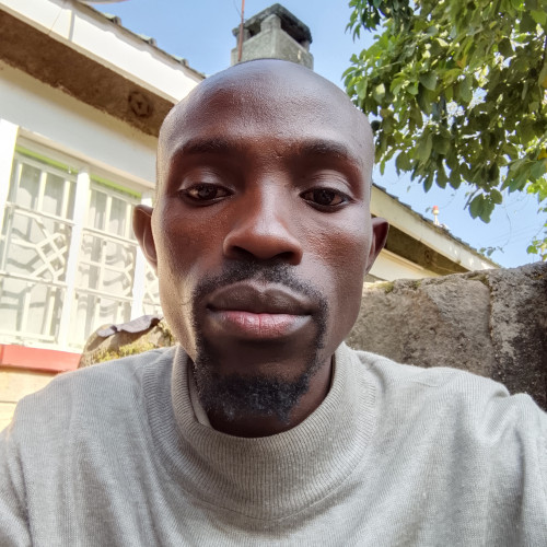 San A. profile photo