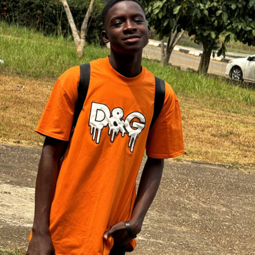 Oladimeji S. profile photo