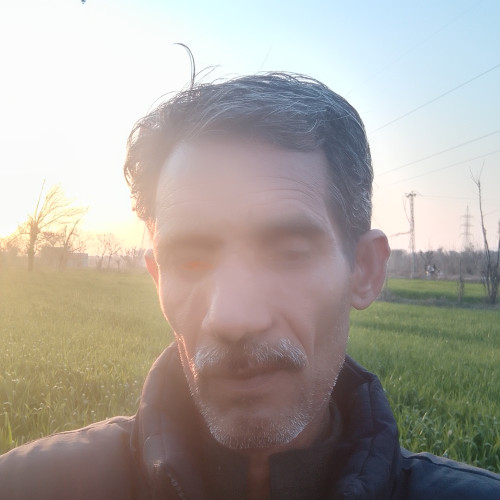 Saad M. profile photo
