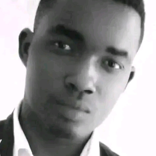Alex M. profile photo