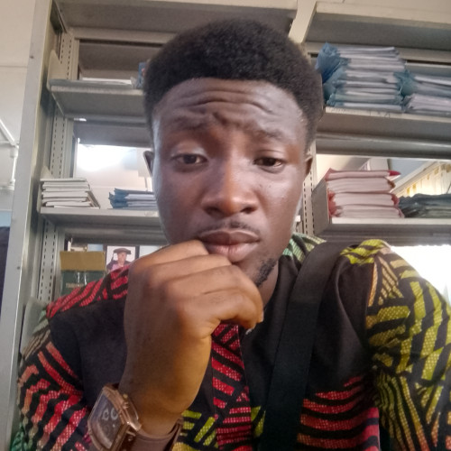 Ajayi R.