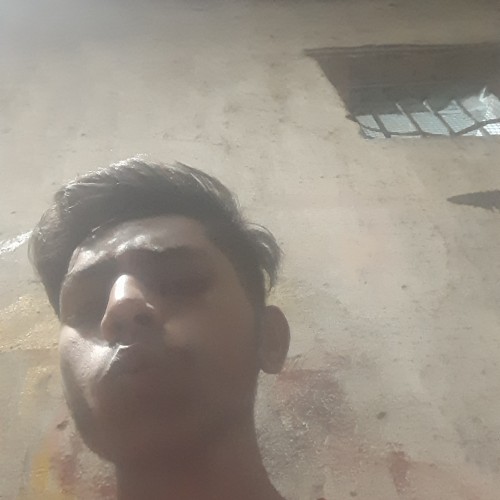 Syed A.