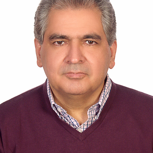 Mohammad D. profile photo