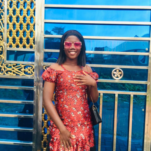 Adeniyi A. profile photo
