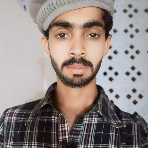 Hasnain B. profile photo
