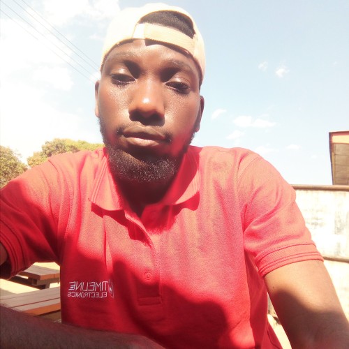 Ken K. profile photo