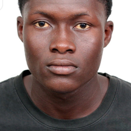 Daniel P. profile photo