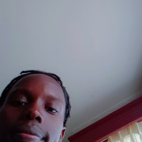Moha W. profile photo