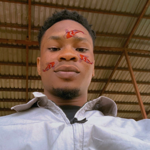 mighty M. profile photo