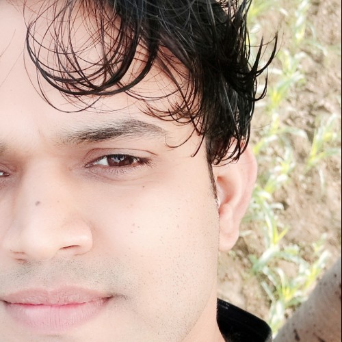 Ankush Y.
