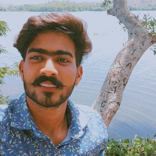 Rohit P. profile photo