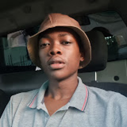 Nhlakanipho N. profile photo