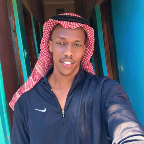 mark k. profile photo