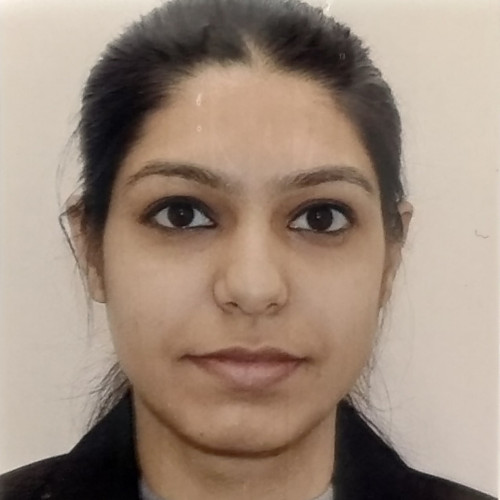 shivi s. profile photo