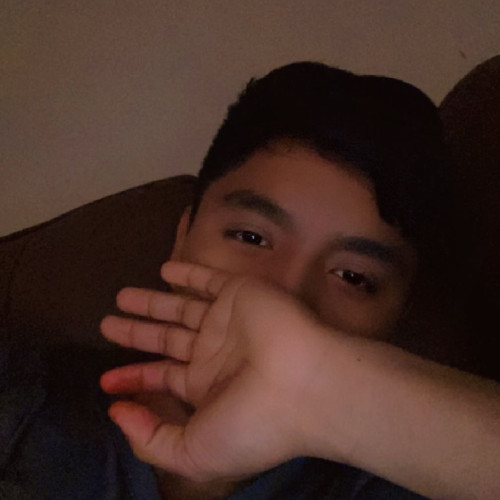 Harry P. profile photo