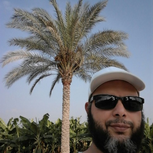 ashraf h.