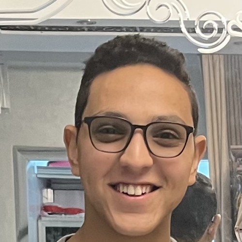 ahmed r.