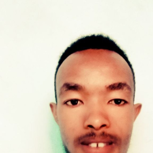 samson t. profile photo