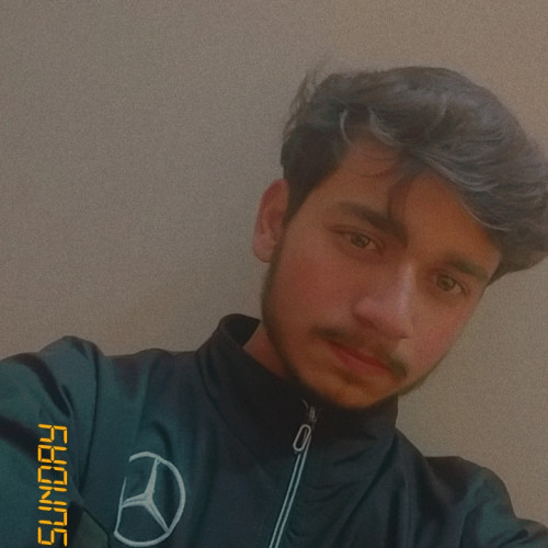 Anshuman s. profile photo