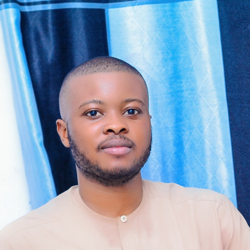 Oluwaseun  O. profile photo
