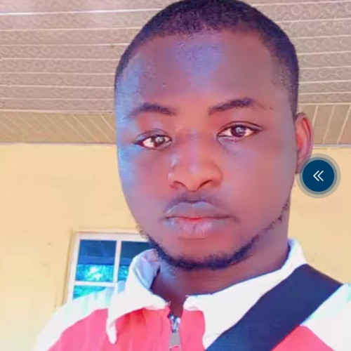 Chukwuemeka U. profile photo