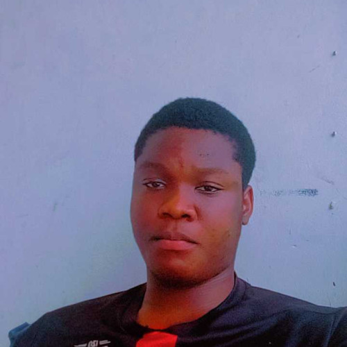 collins m. profile photo