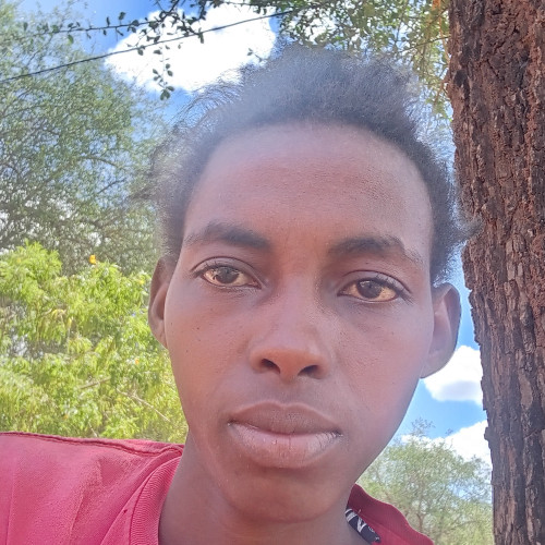 Dorcas  M. profile photo
