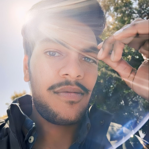 Lavish  B. profile photo