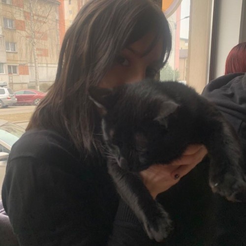 Denisa M. profile photo