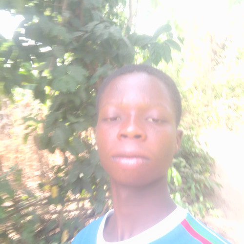 Laisin PLC  D. profile photo