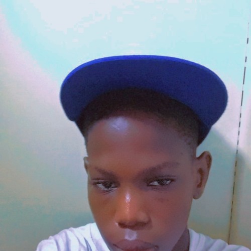 Olupona  T.