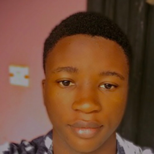 Adeshina  A. profile photo