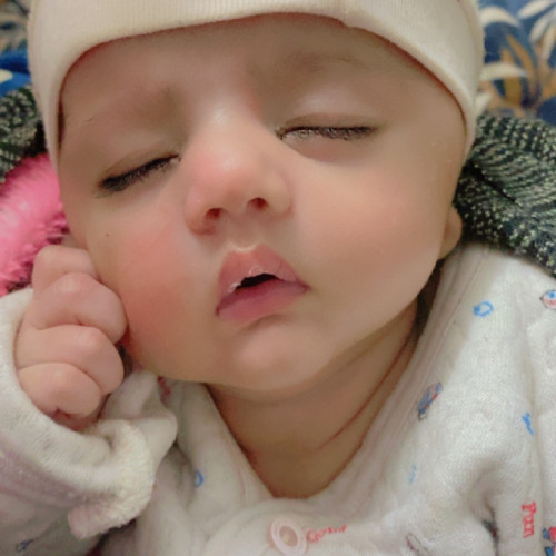 Anmol  C. profile photo