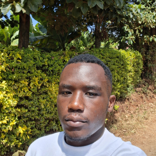 Aloise M. profile photo