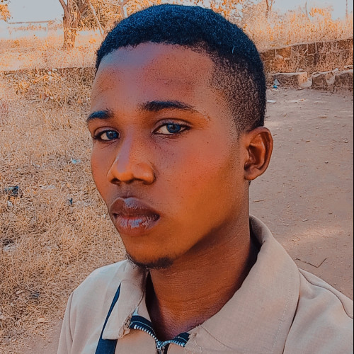Johnson  O. profile photo
