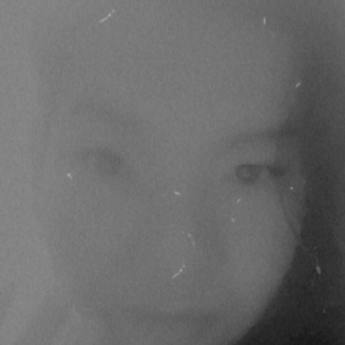 Kath P.
