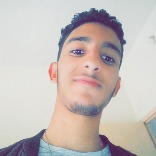 hamza e.