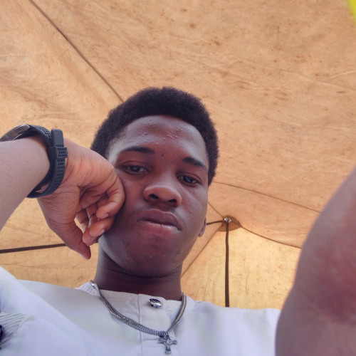 Linkfavour S. profile photo