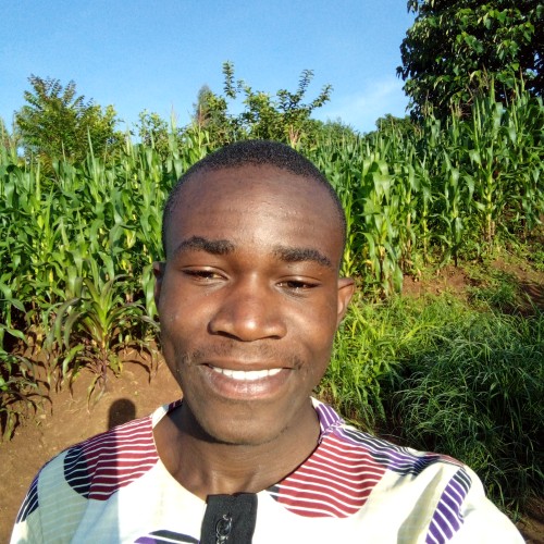 Joshua Y. profile photo