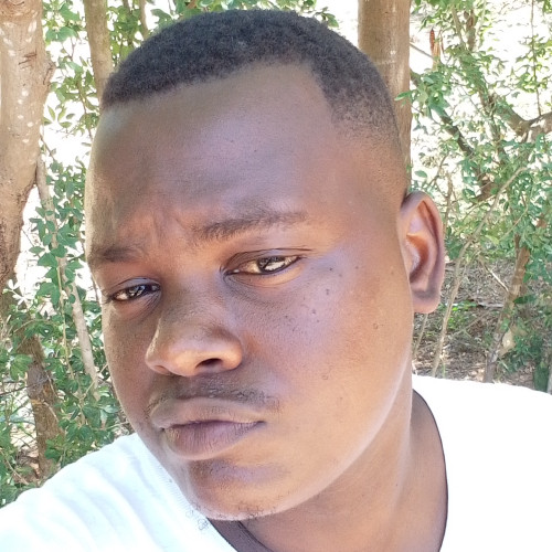 Michael K. profile photo