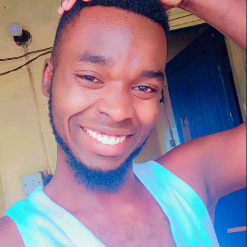 Dan V. profile photo